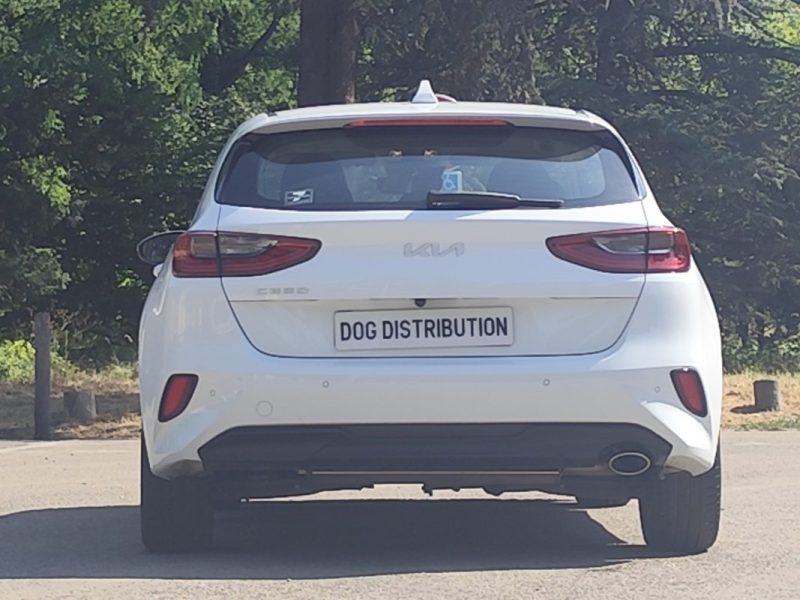 KIA CEED 1.0 T-GDI 120 MOTION 2023