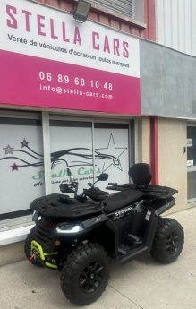 SEGWAY  SNARLER AT5 L EPS Deluxe T3B 500 CC 