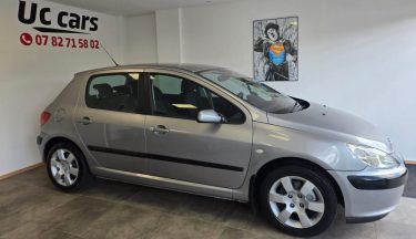 PEUGEOT 307  2006