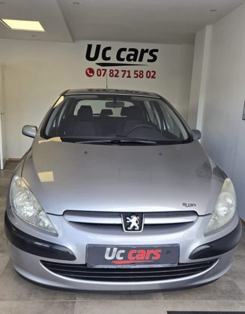 PEUGEOT 307  2006