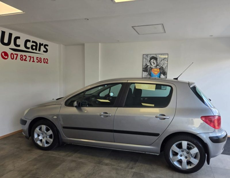 PEUGEOT 307  2006
