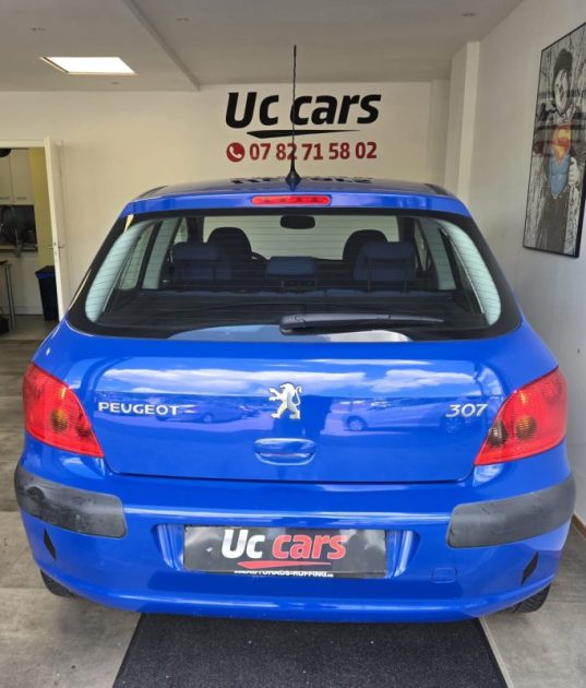 PEUGEOT 307  2003
