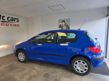 PEUGEOT 307  2003