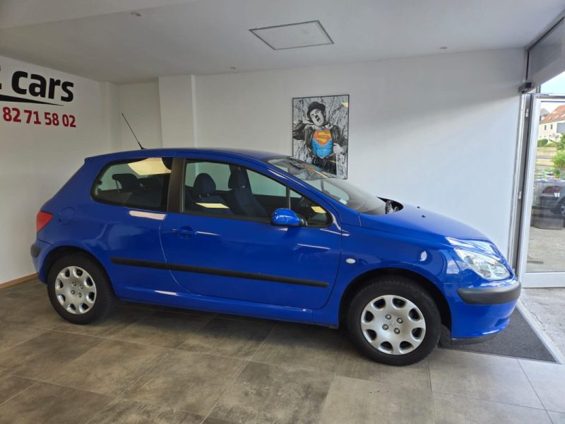PEUGEOT 307  2003