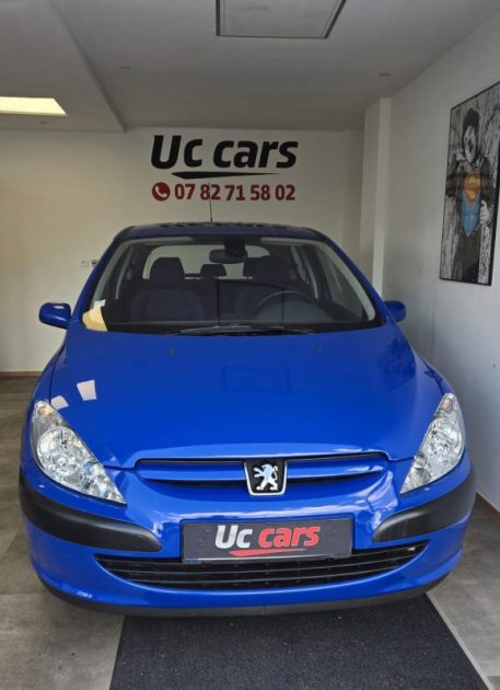 PEUGEOT 307  2003