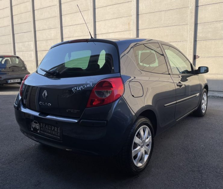RENAULT CLIO RIP CURL