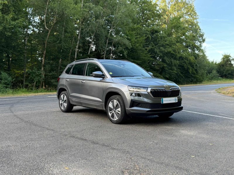 SKODA KAROQ 2.0 TDI 116 AMBITION DSG 2024