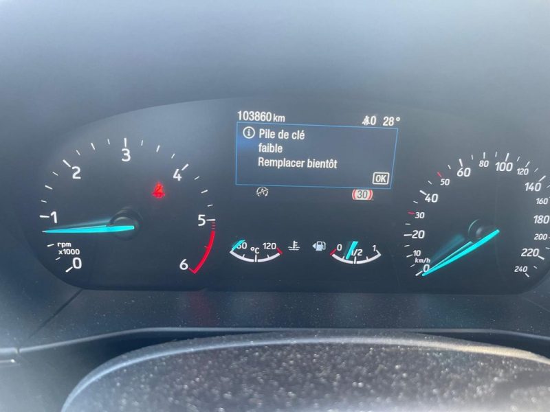 FORD FOCUS 1.5 ECOBLUE 120 TREND BUSINESS 2019
