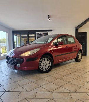 PEUGEOT 307 1.6 HDI 110CV-Distribution Neuve - Garantie 12 mois ou 15.000km-CT Ok-Révision complète 