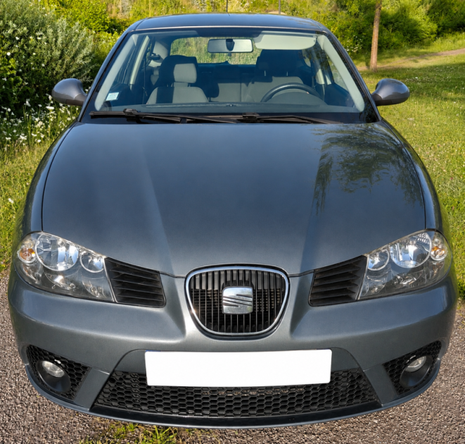 SEAT IBIZA 1.9 TDi 100cv CONFORT EDITION