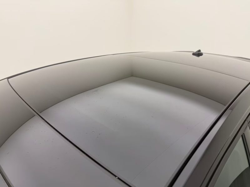 VOLKSWAGEN POLO GTI 2.0 TSI DSG – BLACK STYLE – PANO – IQ.LIGHT MATRIX LED – DISCOVER MEDIA 2025