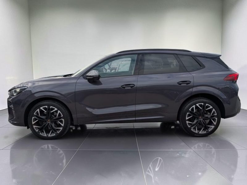 Cupra TERRAMAR 2.0 TSI VZ 4DRIVE 265CH RARE