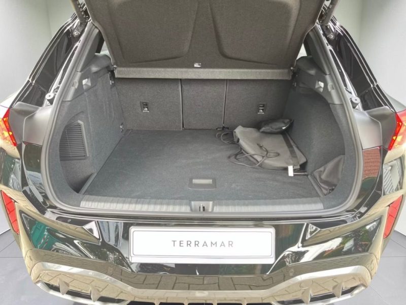 Cupra TERRAMAR 1.5 eHybrid 204ch DSG6 V 