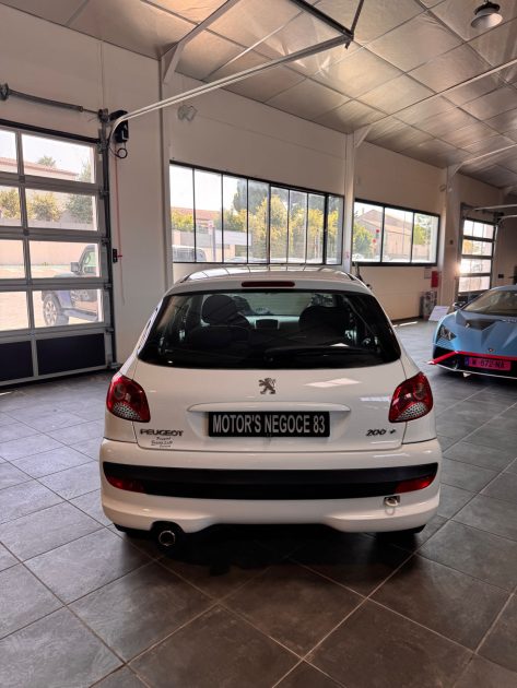 PEUGEOT 206 PLUS + 1.4 URBAN REVISION DISTRIBUTION NEUVE CLIM