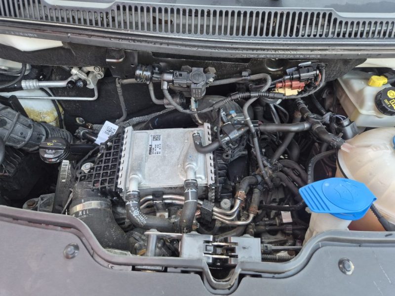 VOLKSWAGEN TRANSPORT VI CAMIONNETTE 2.0 TDI 2019
