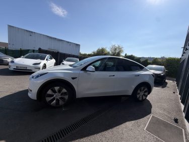 TESLA MODEL Y STANDARD RWD PROPULSION 2023