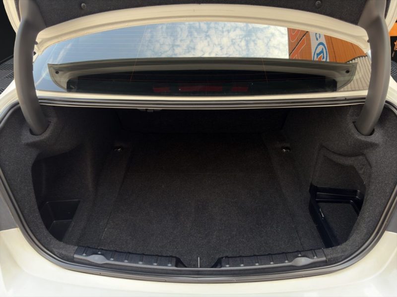 BMW SERIE 3 318d Lounge 143 cv / BVA