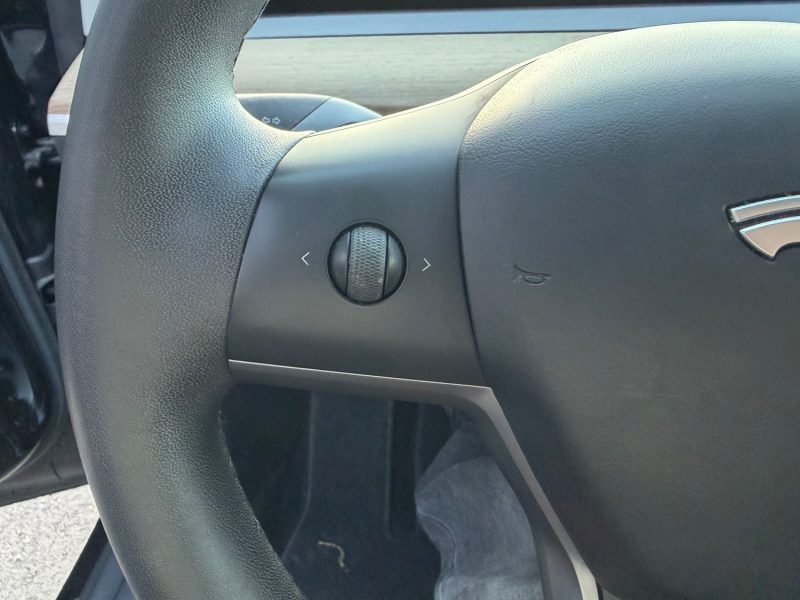 TESLA Model 3 Standard Range Plus 306 cv Boîte auto