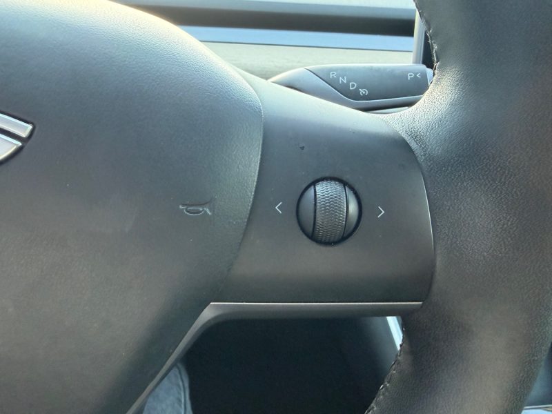 TESLA Model 3 Standard Range Plus 306 cv Boîte auto