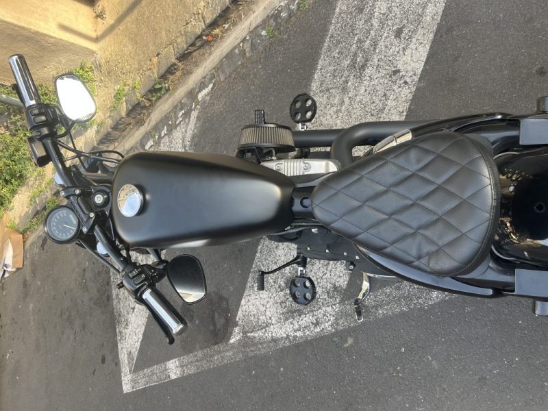 HARLEY.DAV XLH1200C  2010
