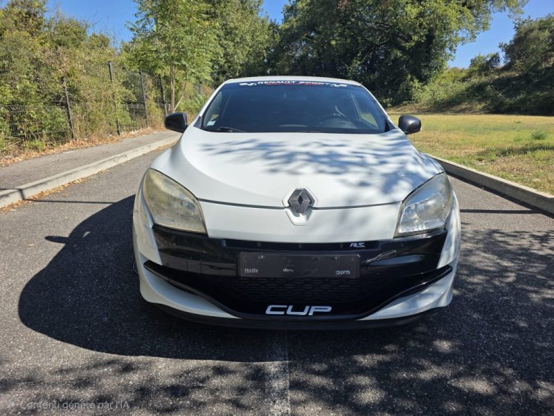 RENAULT MEGANE III COUPÉ (DZ0/1_) 2.0 RS (DZ1N) CUP 2010