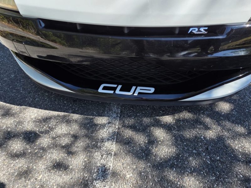 RENAULT MEGANE III COUPÉ (DZ0/1_) 2.0 RS (DZ1N) CUP 2010