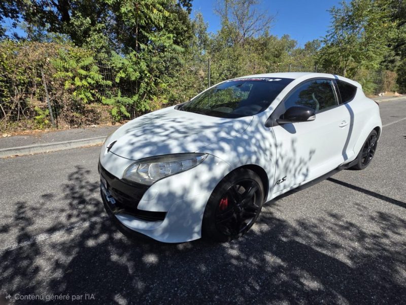 RENAULT MEGANE III COUPÉ (DZ0/1_) 2.0 RS (DZ1N) CUP 2010