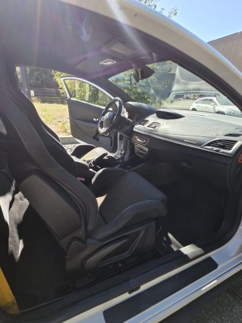 RENAULT MEGANE III COUPÉ (DZ0/1_) 2.0 RS (DZ1N) CUP 2010