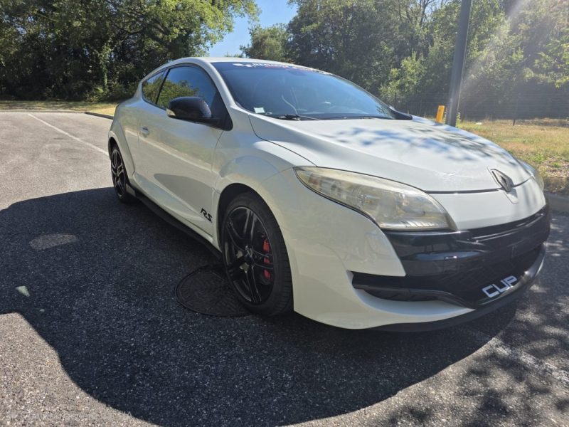 RENAULT MEGANE III COUPÉ (DZ0/1_) 2.0 RS (DZ1N) CUP 2010