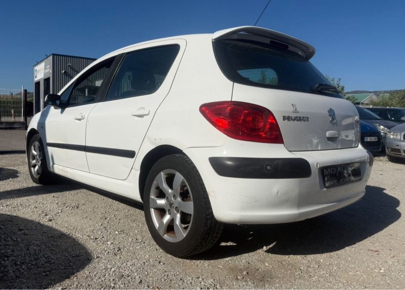 Peugeot 307 1.6i Boite Auto Garantie 