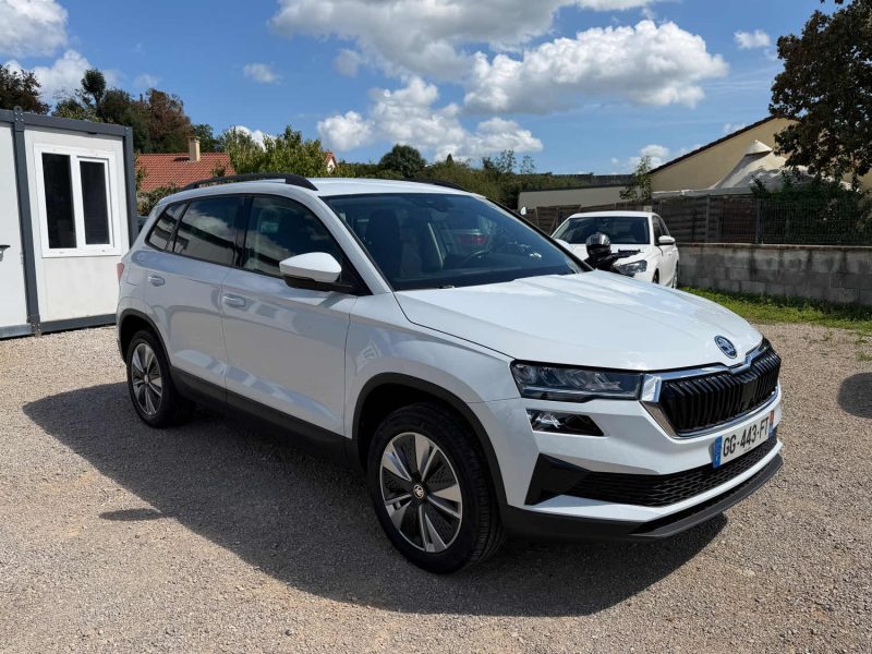 SKODA KAROQ BUSINESS 2022