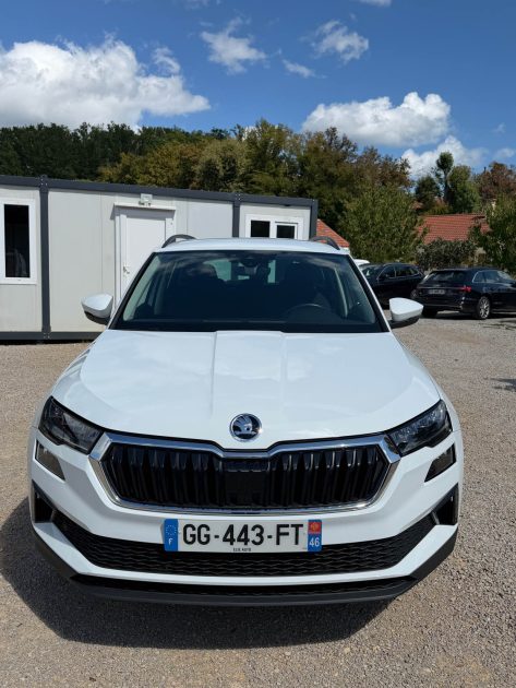 SKODA KAROQ BUSINESS 2022