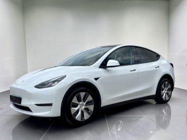 TESLA MODEL Y LONG RANGE DUAL MOTOR AWD 