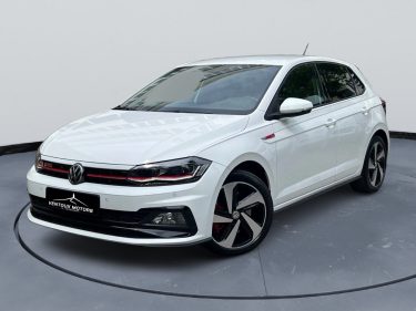 VOLKSWAGEN POLO GTI 2.0 TSI DSG7