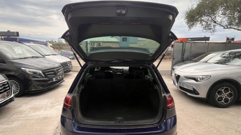 VOLKSWAGEN GOLF VII 2.0 GTI PERFORMANCE 2019