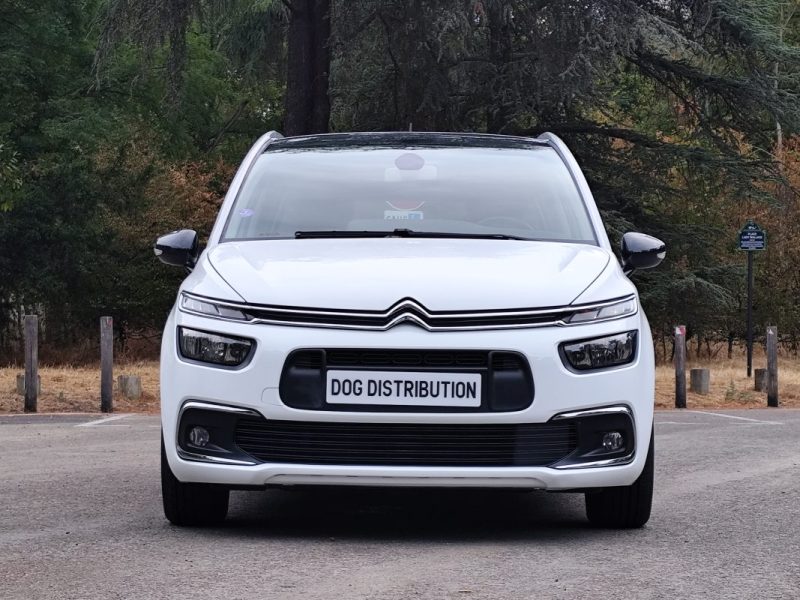 CITROEN C4 GRAND C4 SPACETOURER 1.2 PURE TECH 130 FEEL 2022