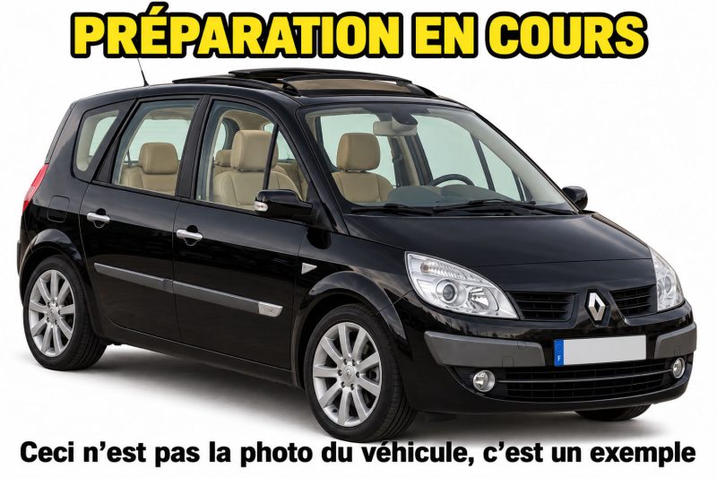 RENAULT SCENIC II 2.0 DCI 150 Cv EXCEPTION