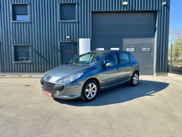 PEUGEOT 307 1.6 16V 2007 ct ok