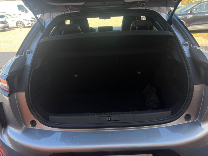  DS DS3 CBACK  Crossback 1.5 Blue HDi S&S 102 cv 2019
