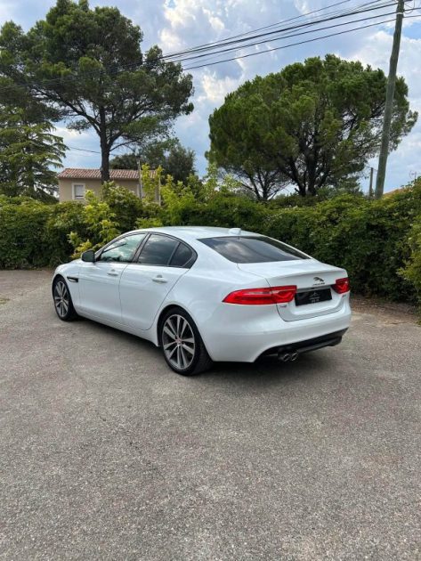 Lot de deux jaguar à vendre - Marchand 