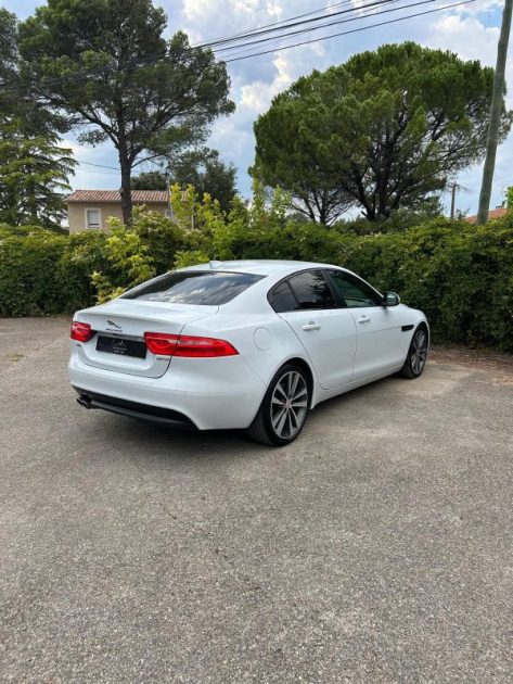 Lot de deux jaguar à vendre - Marchand 