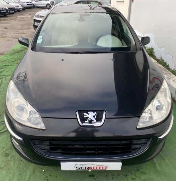 PEUGEOT 407 2004
