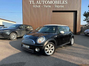 MINI MINI 2010