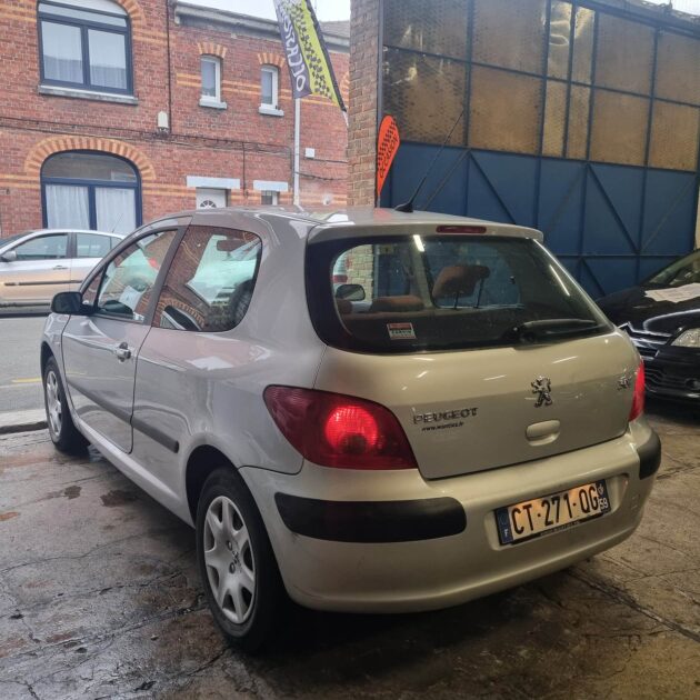 PEUGEOT 307 2005