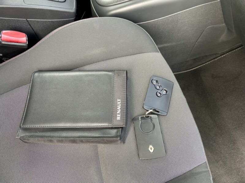 RENAULT SCÉNIC III 2013