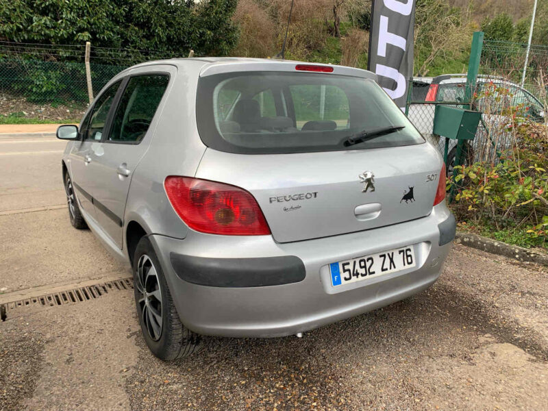 PEUGEOT 307 1.6i 16V 110CV