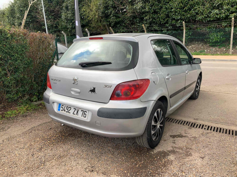 PEUGEOT 307 1.6i 16V 110CV