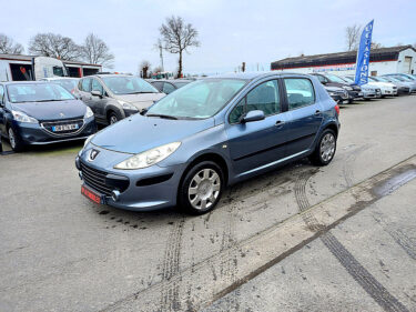 PEUGEOT 307 2006