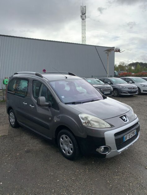 PEUGEOT PARTNER TEPEE 2009