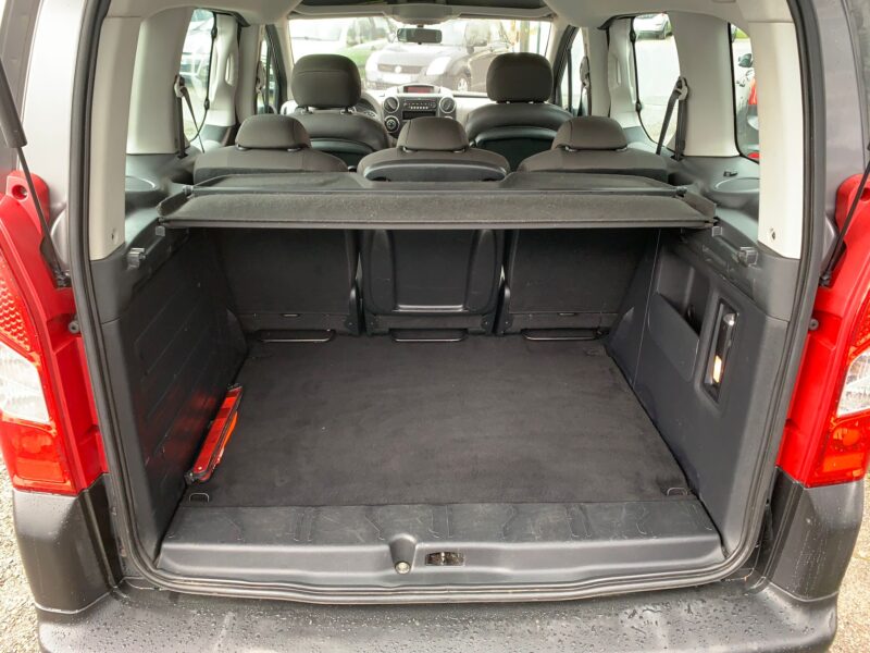 PEUGEOT PARTNER TEPEE 2009